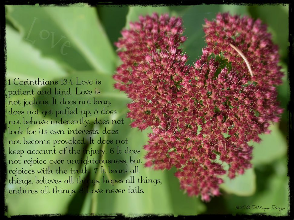 Love Defined