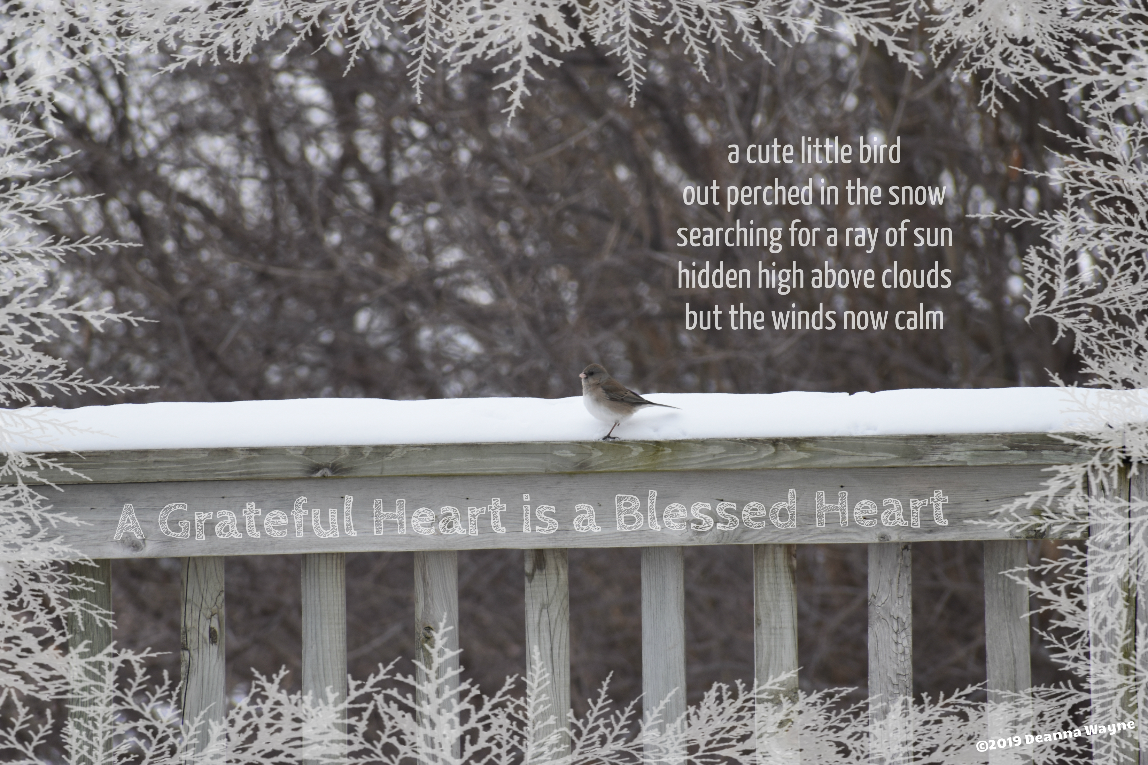 A Grateful Heart is a Blessed Heart