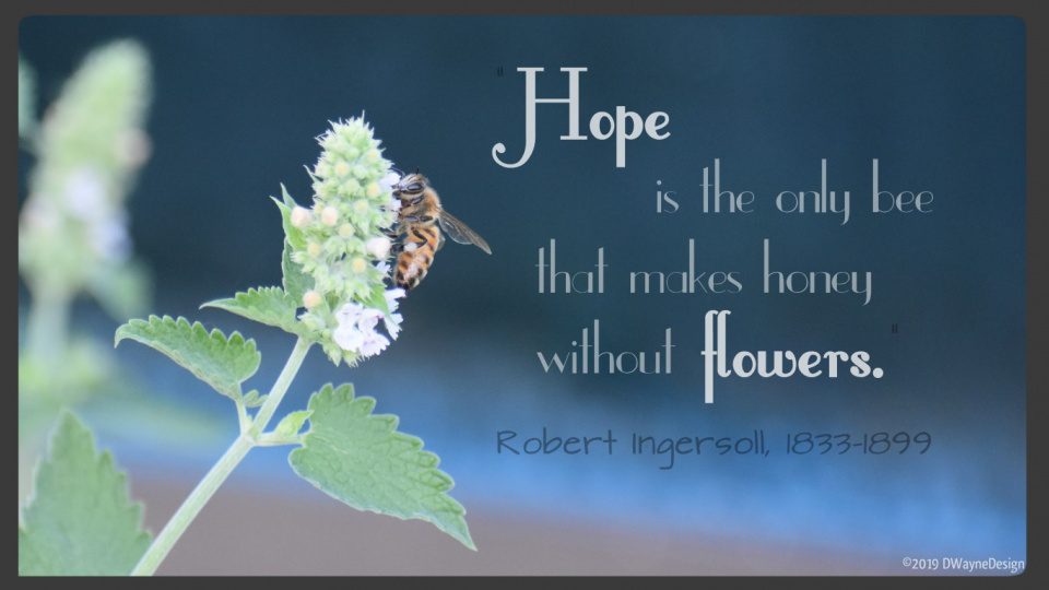 Hope is the only bee that makes honey without flowers.